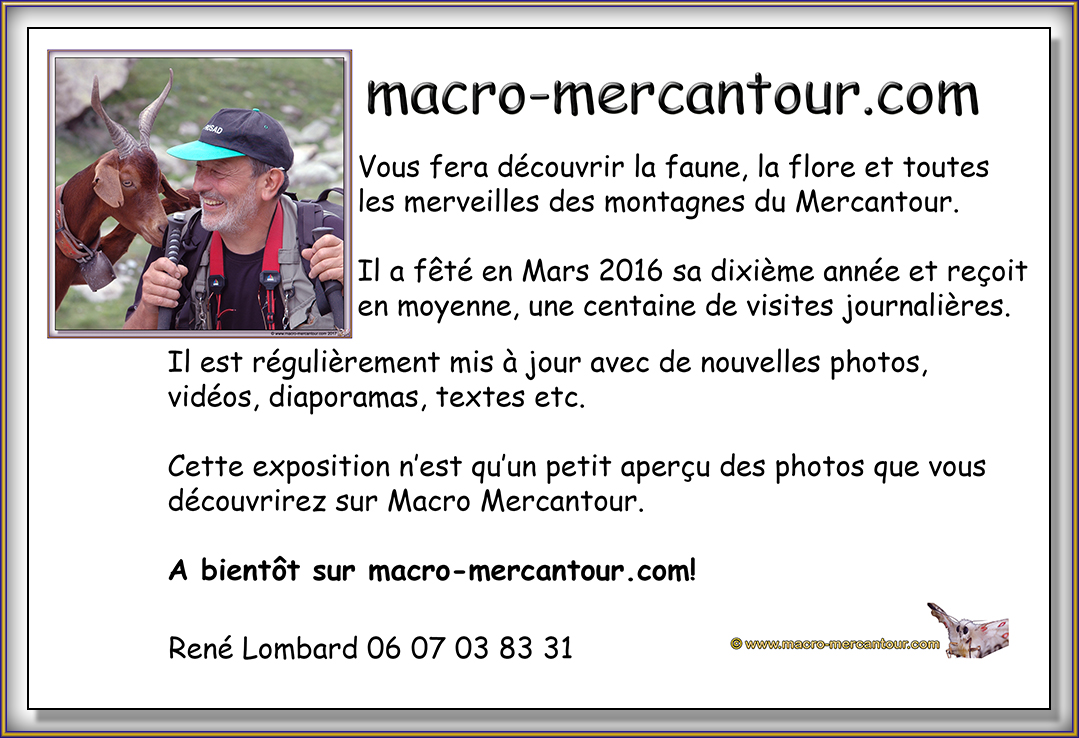 Texte de l'exposition