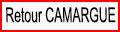 rETOUR cAMARGUE