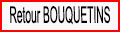 Retour Bouquetins