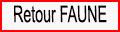 Retou page Faune