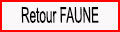 Retour Faune