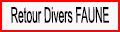 Retour divers faune
