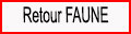 RETOUR PAGE FAUNE