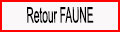 Retour faune