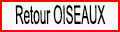 Retour page Oiseaux