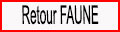 Retour Faune