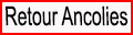 Retour page Ancolies