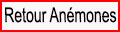 Retour page Anémones