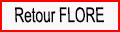 Retour flore