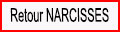 Retour Narcisses