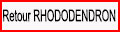 Retour Rhododendrons