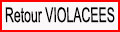 Retour Violacees