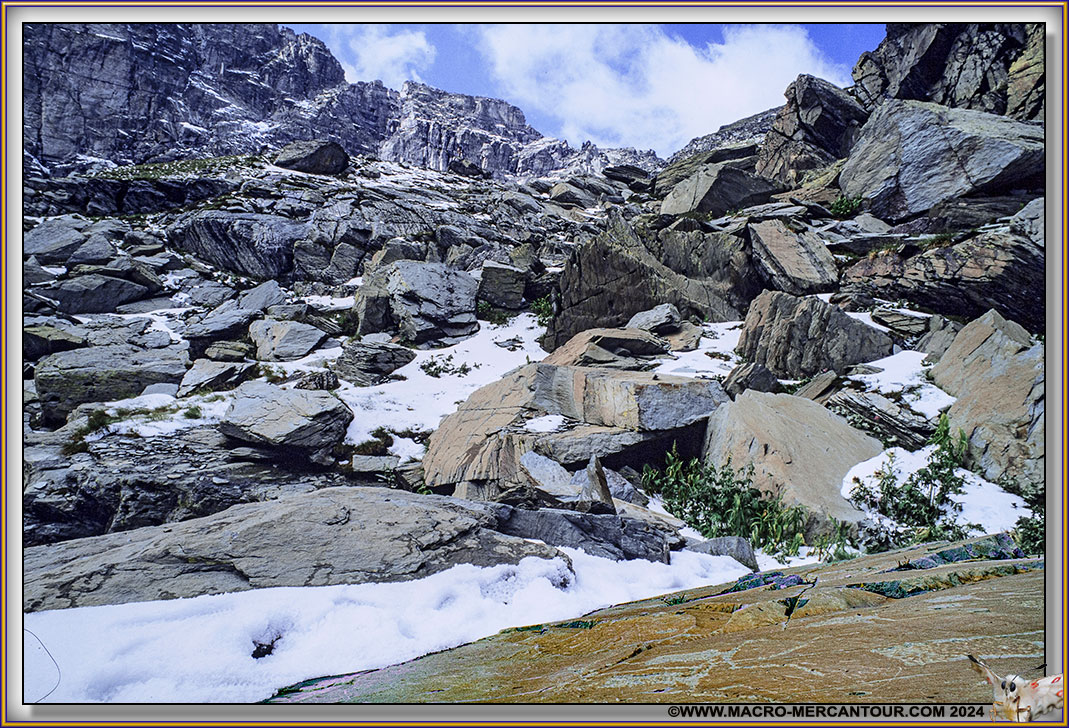 Gravures rupestres du Mont Bego