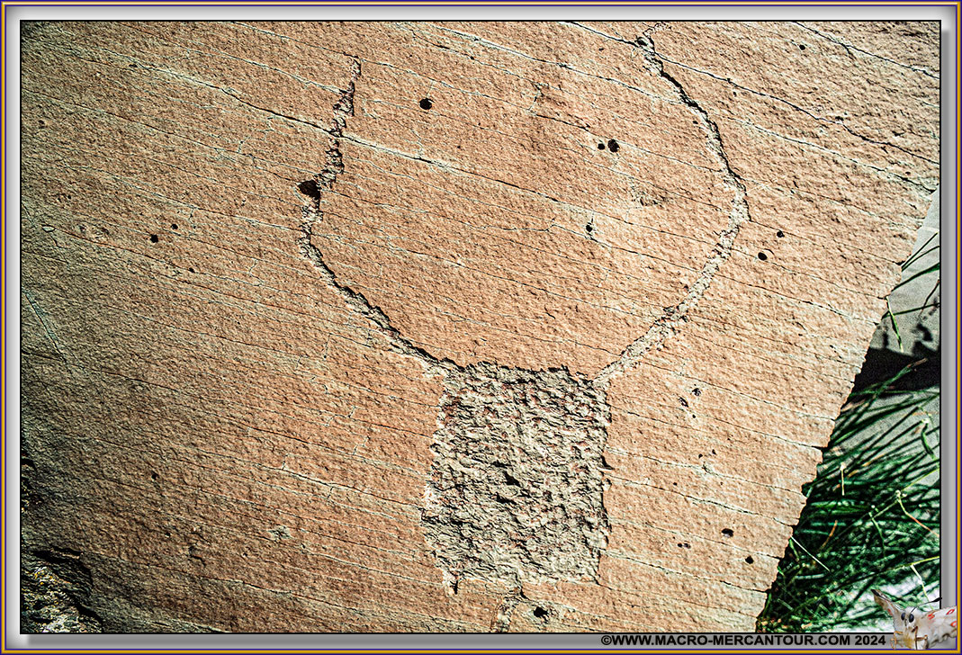 Gravures rupestres du Mont Bego