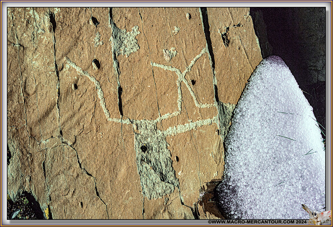 Gravures rupestres du Mont Bego