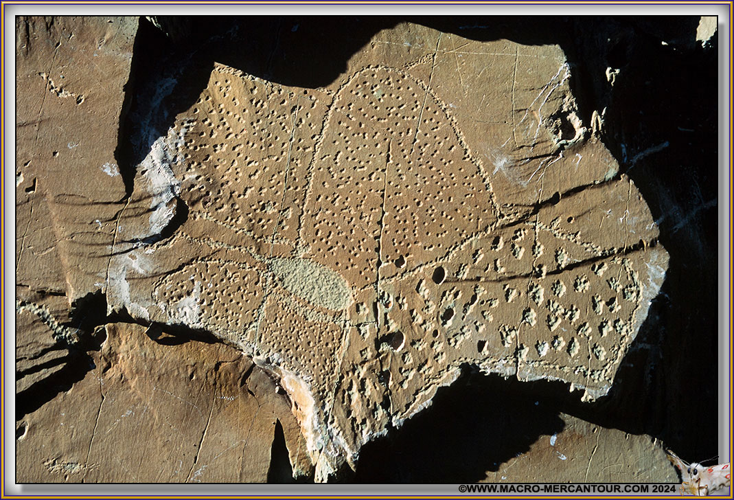 Gravures rupestres du Mont Bego