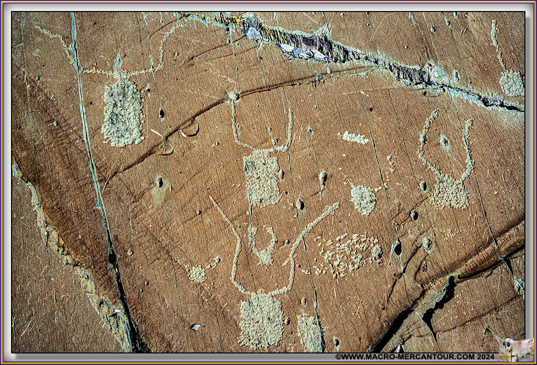 Gravures rupestres du Mont Bego