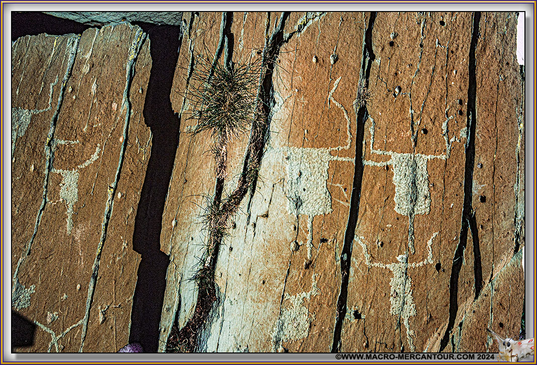 Gravures rupestres du Mont Bego