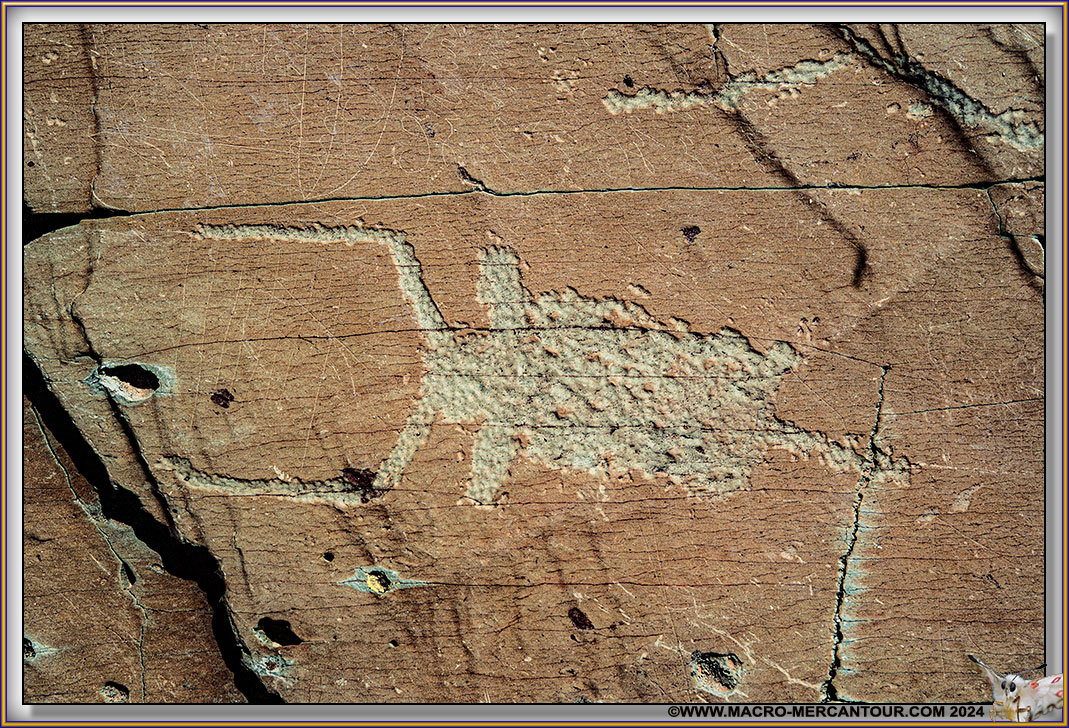 Gravures rupestres du Mont Bego