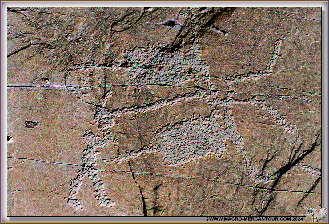 Gravures rupestres du Mont Bego