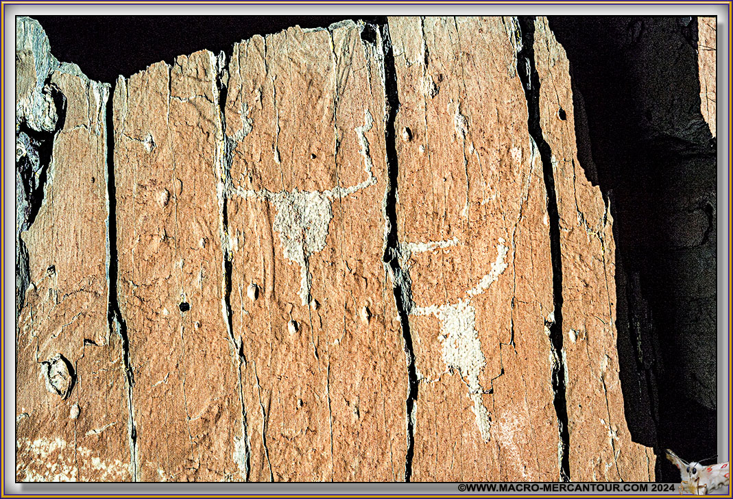 Gravures rupestres du Mont Bego