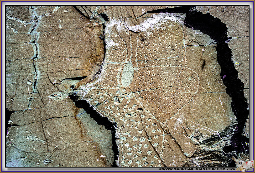 Gravures rupestres du Mont Bego