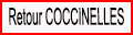 Retour COCCINELLE
