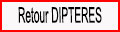 Retour Diptères