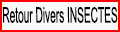 Retour divers Insectes