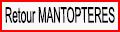 Retour Mantoptères