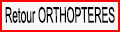 Retour Orthoptères