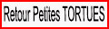 Retour Petite Tortue