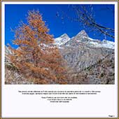 Le Mercantour Grandeur Nature