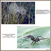 Le Mercantour Grandeur Nature