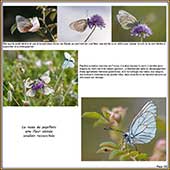 Le Mercantour Grandeur Nature