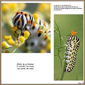 Le Mercantour Grandeur Nature