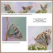 Le Mercantour Grandeur Nature