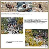 Le Mercantour Grandeur Nature