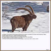 Le Mercantour Grandeur Nature