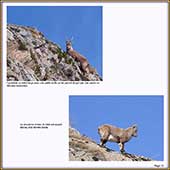 Le Mercantour Grandeur Nature