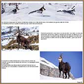 Le Mercantour Grandeur Nature