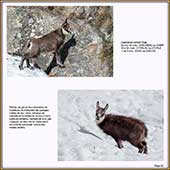 Le Mercantour Grandeur Nature