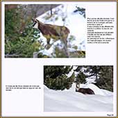 Le Mercantour Grandeur Nature