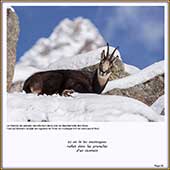 Le Mercantour Grandeur Nature