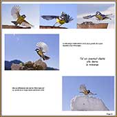 Le Mercantour Grandeur Nature