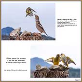 Le Mercantour Grandeur Nature