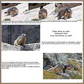 Le Mercantour Grandeur Nature