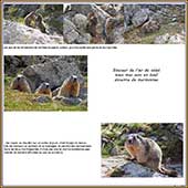 Le Mercantour Grandeur Nature