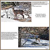 Le Mercantour Grandeur Nature