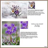 Le Mercantour Grandeur Nature